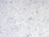Semi-White
